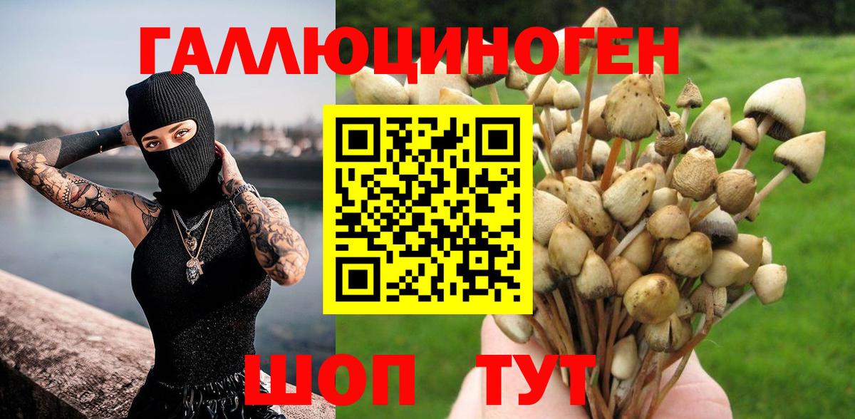 Галлюциногенные грибы Cubensis Чебаркуль